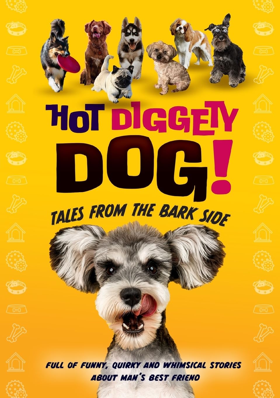 Hot Diggety Dog